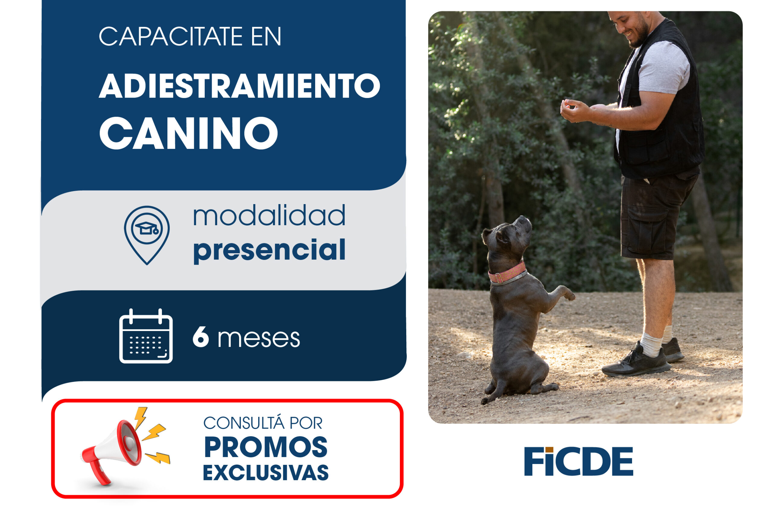 Certificación Universitaria en Adiestramiento canino – Presencial