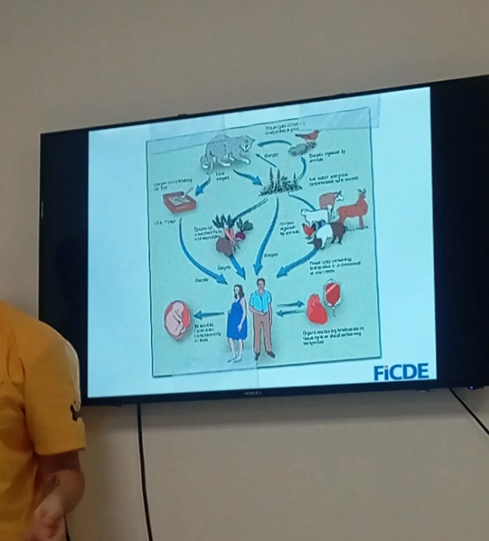 Mauro Godoy ⭐⭐⭐⭐⭐