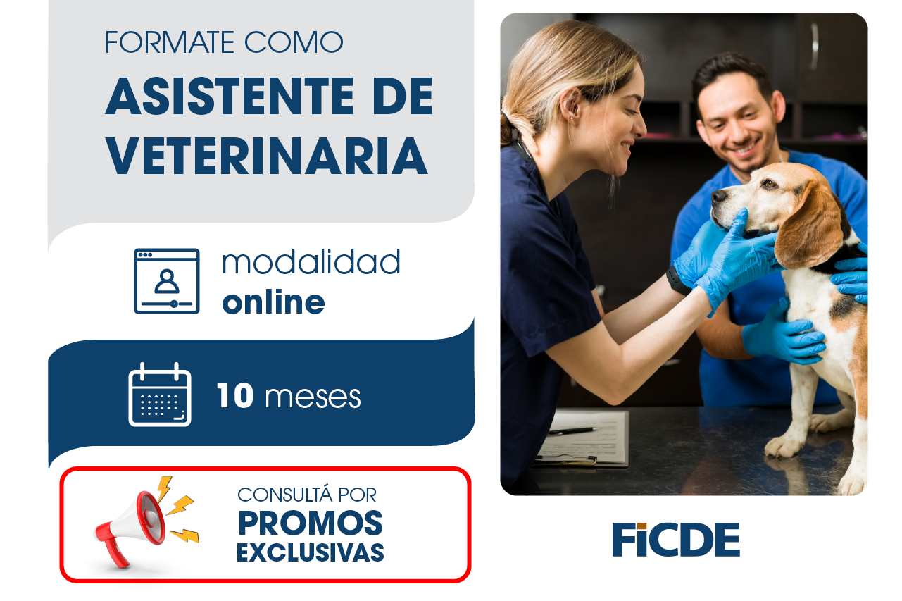 Formate como Asistente Veterinario – Online