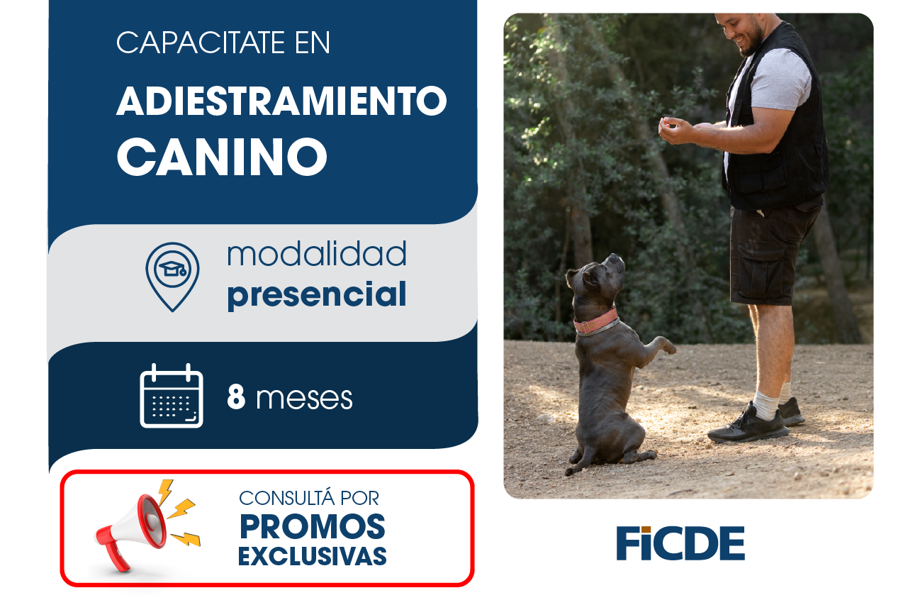 Capacitate en Adiestramiento canino – Presencial