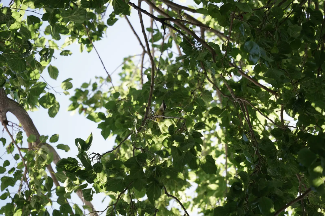 Melisa Alejandra Ruiz ⭐⭐⭐⭐⭐