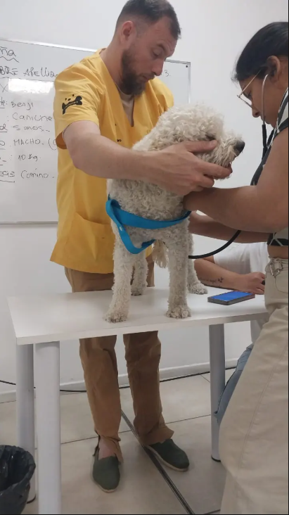 Mariana Beas ⭐⭐⭐⭐⭐