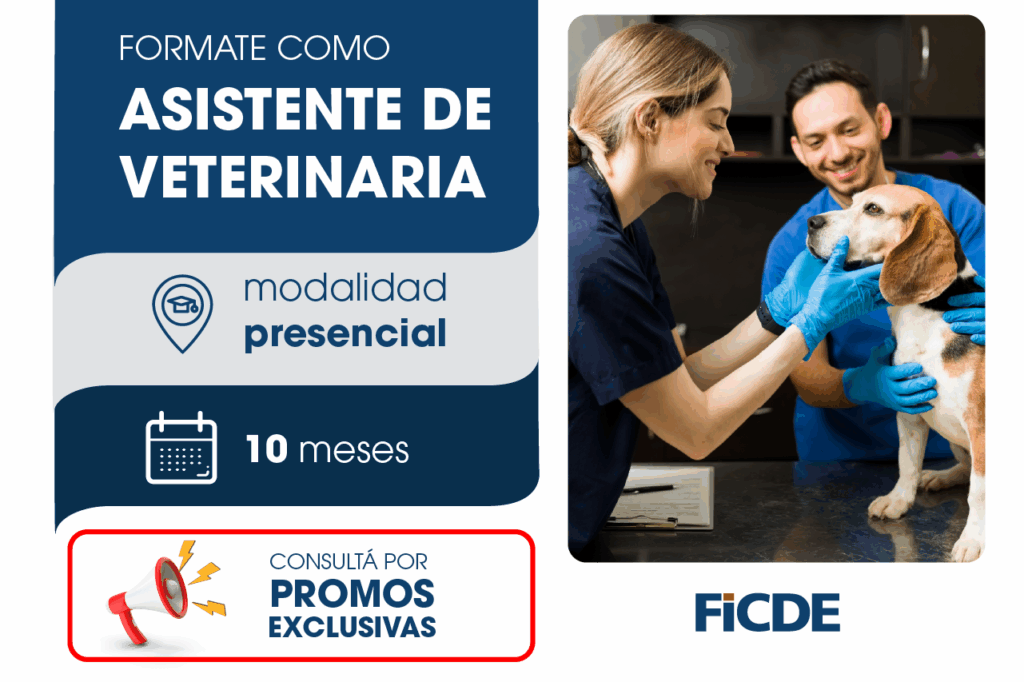 Asistente Veterinario – Presencial