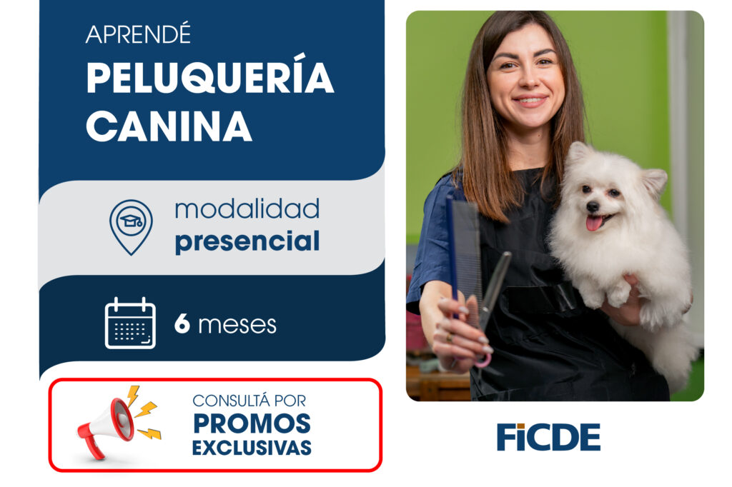 Peluquería Canina – Presencial