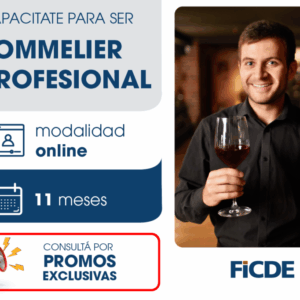Sommelier – Online